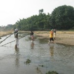 volunteer
